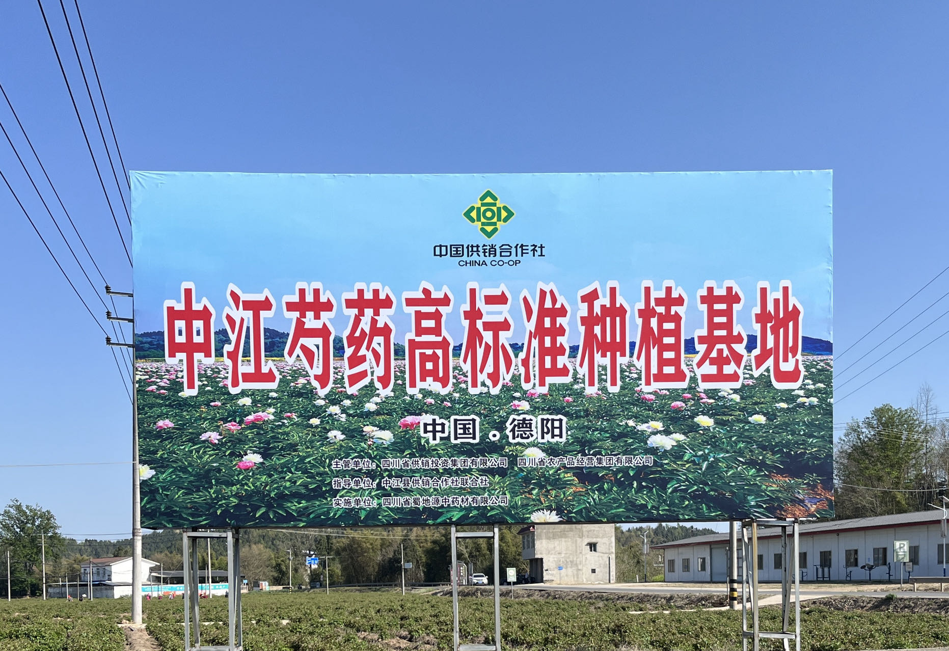 附件图片.jpg 附件图片.jpg