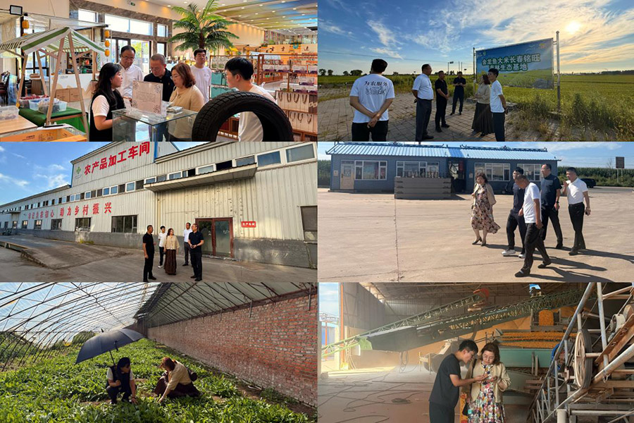 图片3.jpg 图片3.jpg