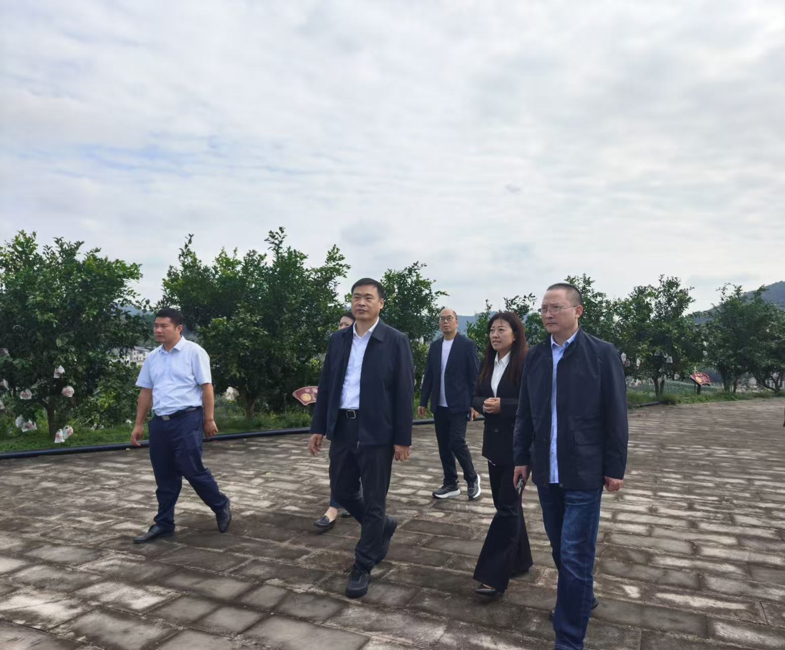 调研组深入基地实地察看